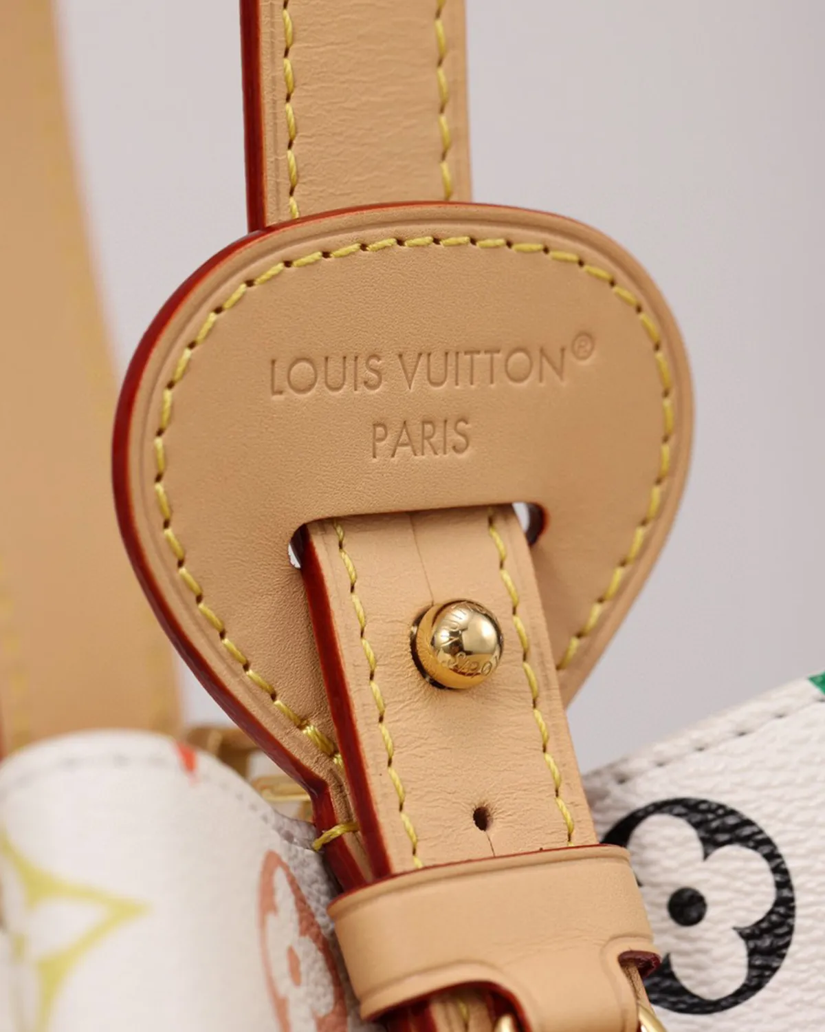 bagladt-signature-multi-color-tote-bb-artist-edition-canvas-front6