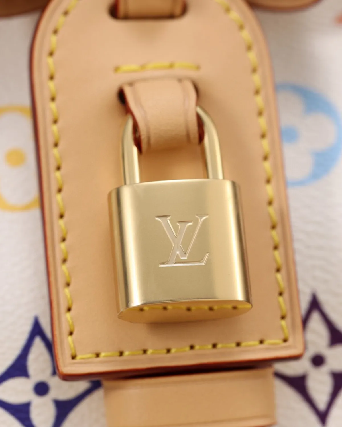 bagladt-signature-multi-color-tote-bb-artist-edition-canvas-front7