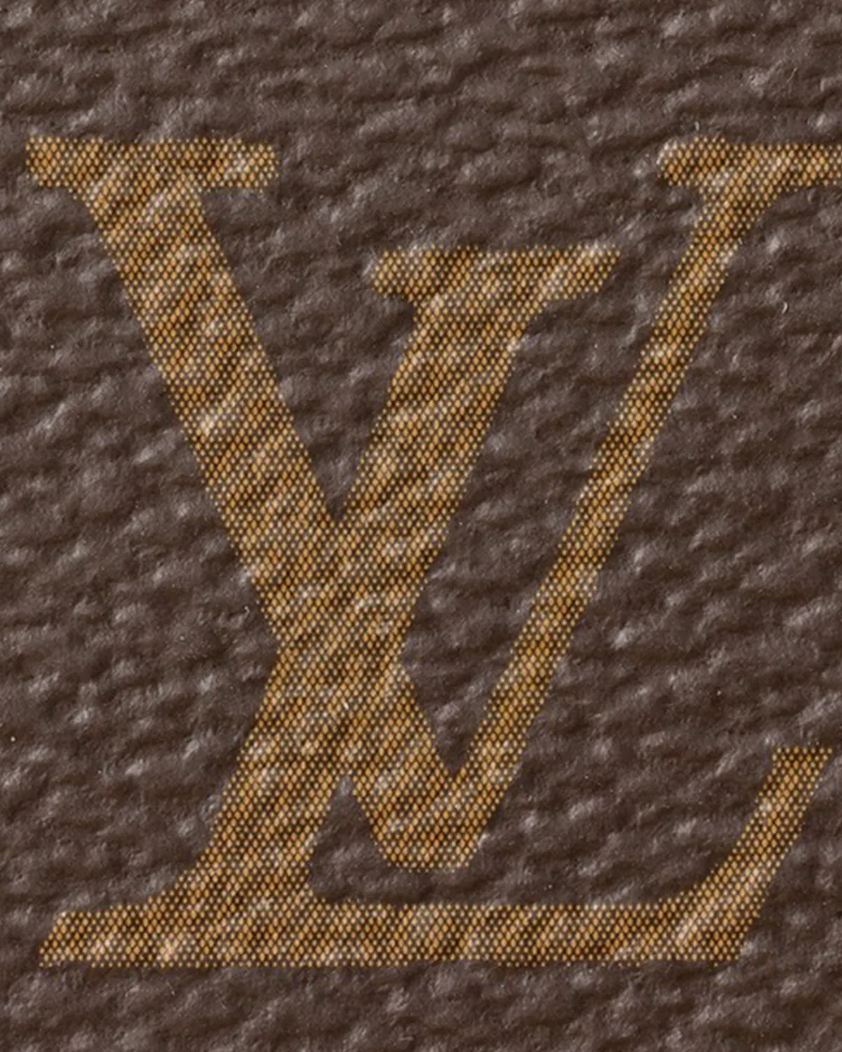 bagladt-signature-vanity-chain-case-monogram-reverse-canvas-front8