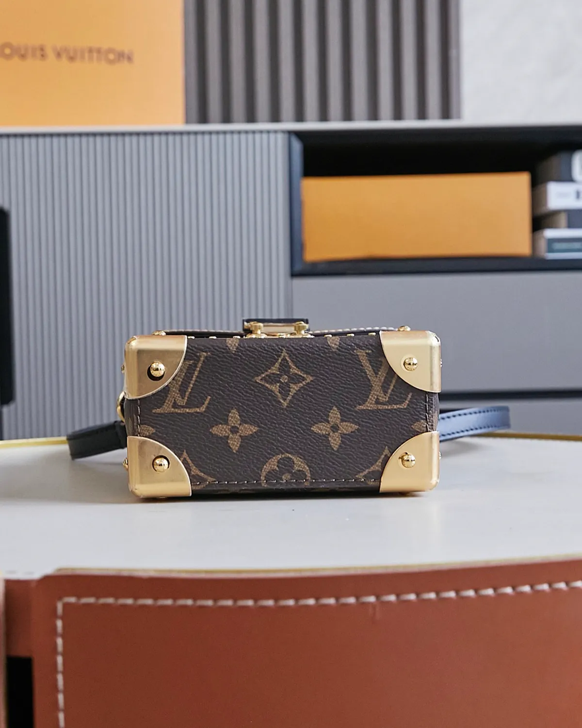 bagladt-vertical-camera-box-reverse-monogram-trunk-front5