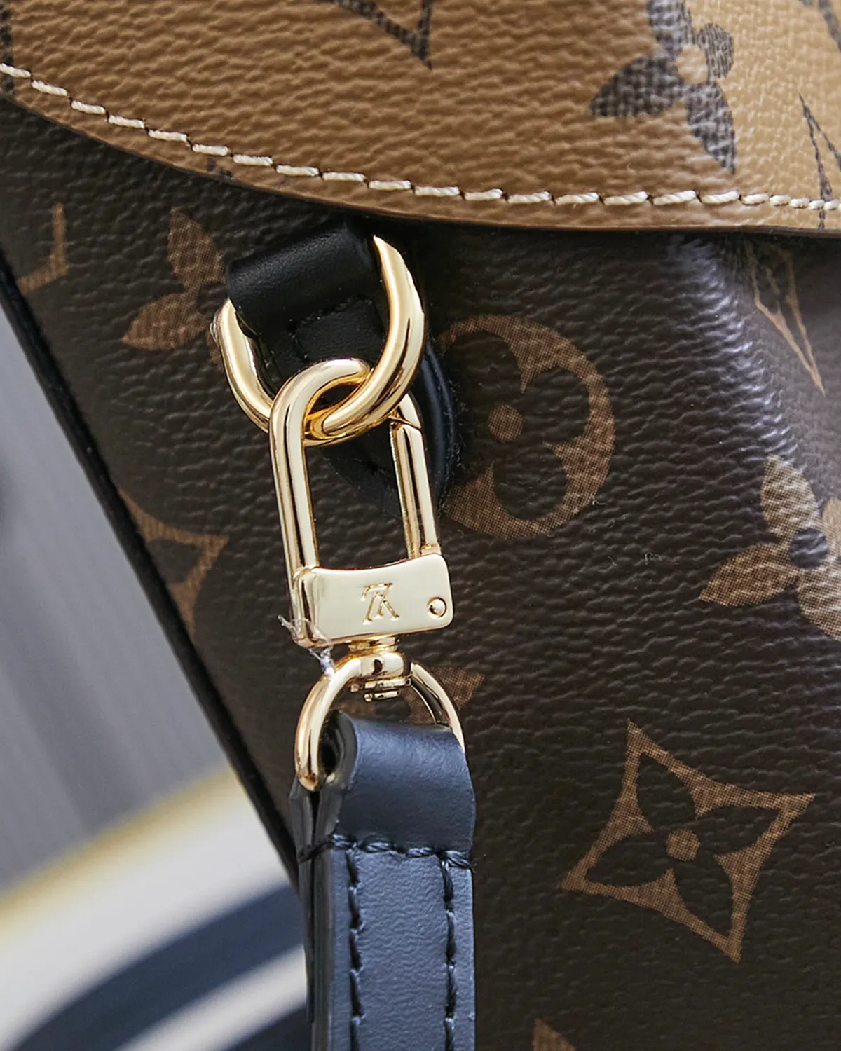 bagladt-vertical-camera-box-reverse-monogram-trunk-front7