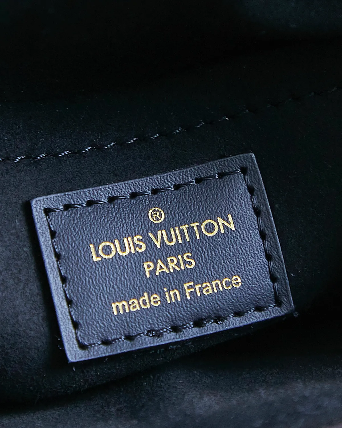 bagladt-vertical-camera-box-reverse-monogram-trunk-front9