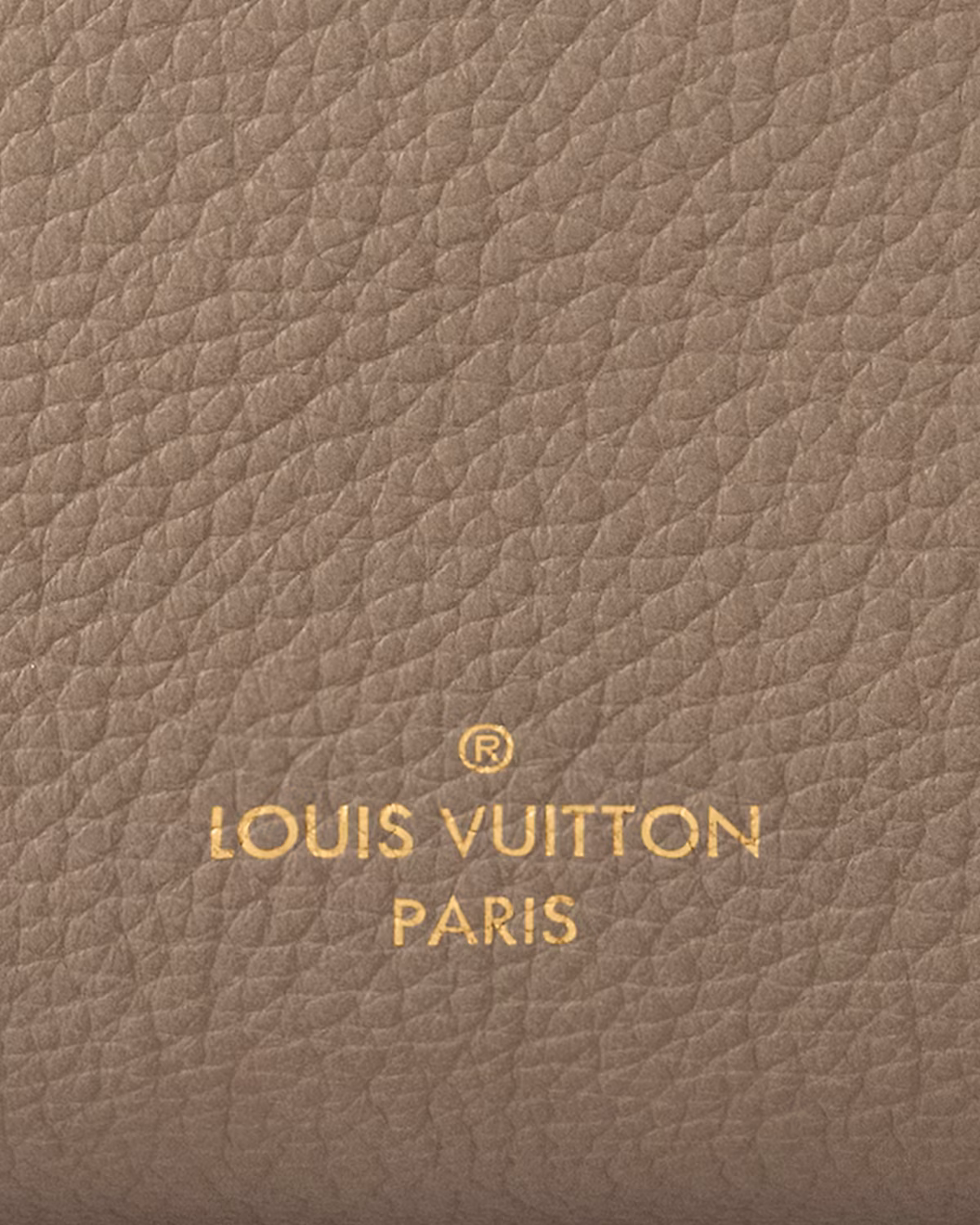 louis-vuitton-side-trunk-mm--M25072_PM1_Detail view